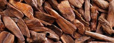 Vanilla Oud Fragrance Oil - AEFO0054