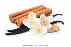 Cinnamon Vanilla Fragrance Oil- AEFO0021