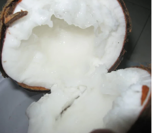 Coconut Wax