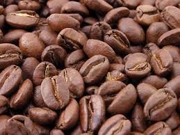 Coffee Café Fragrance Oil - AEFO0021