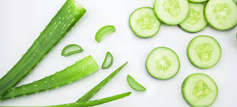 Cucumber Aloe vera Fragrance  Oil - AEFO0039