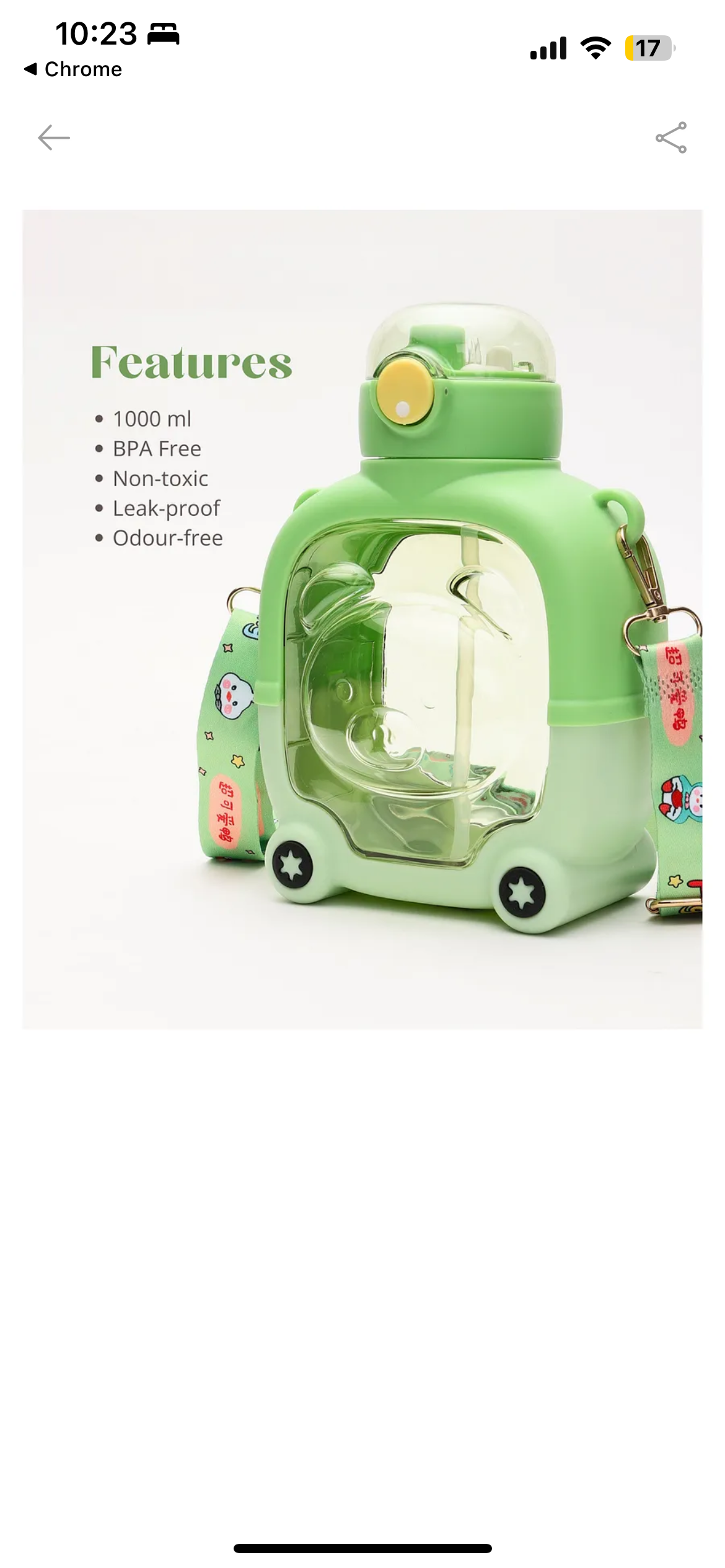 Quirky Water Bottle for Kids