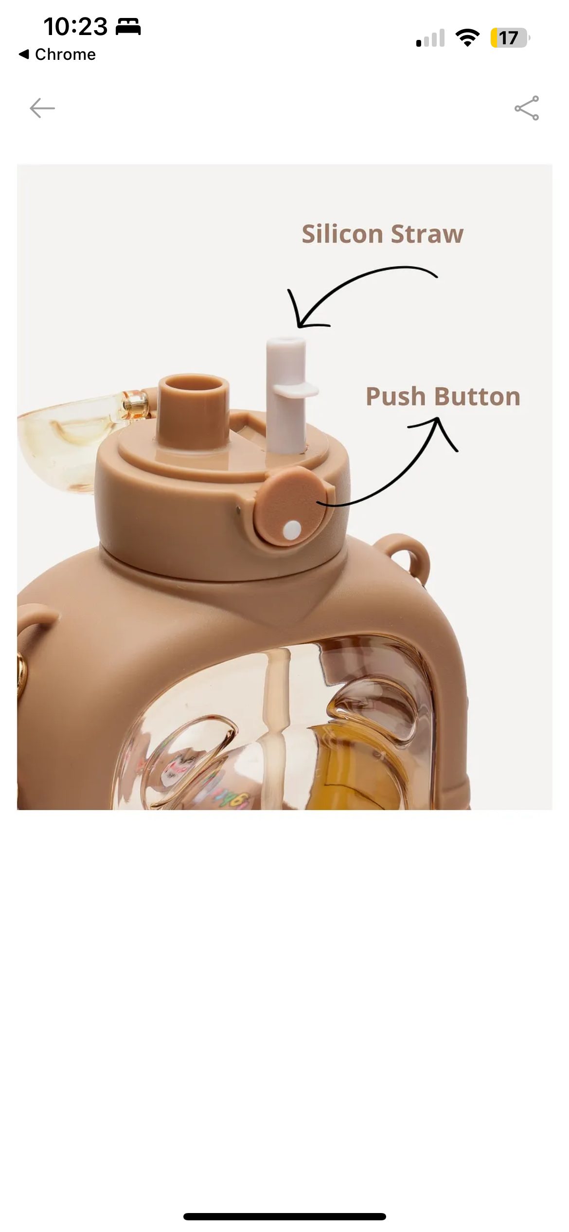 Quirky Water Bottle for Kids