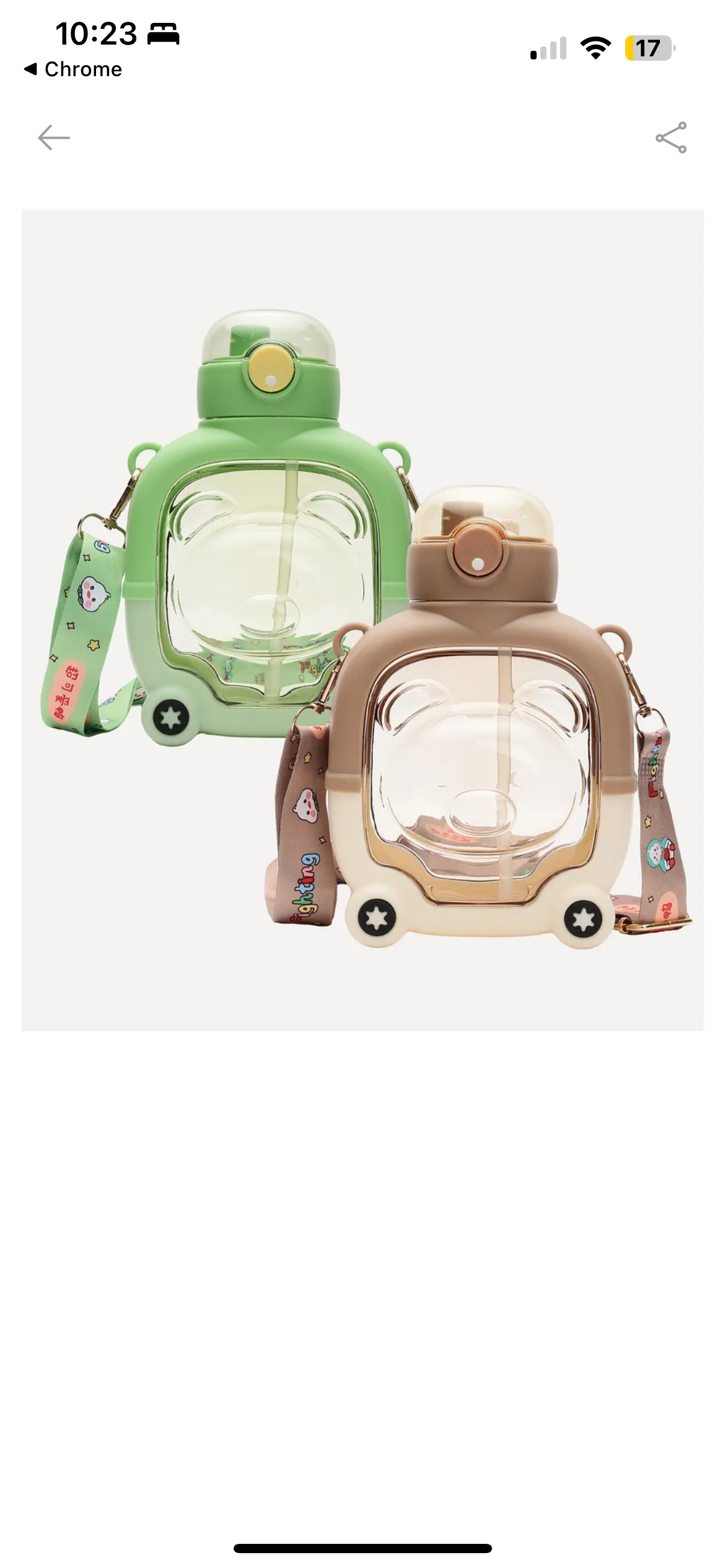 Quirky Water Bottle for Kids