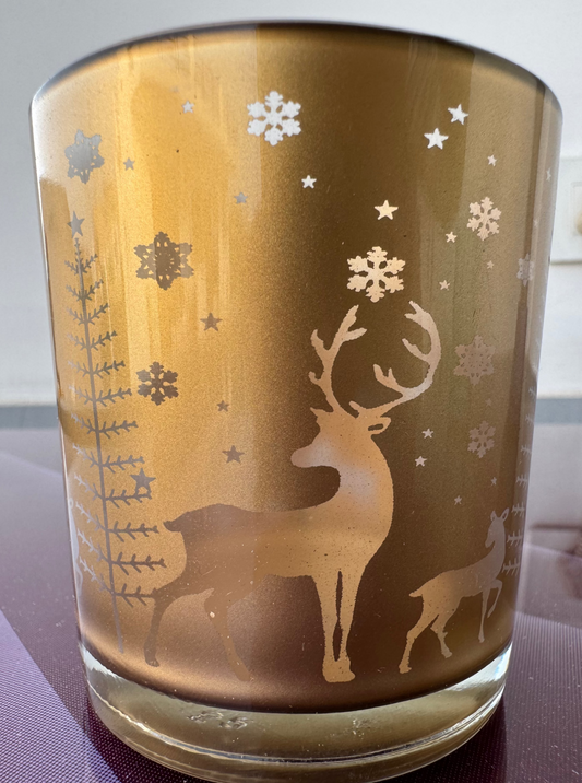 Christmas Themed Jar (Pack of 6 pcs) - AEGJ0022