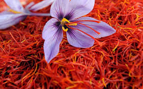 Kesar Fragrance Oil - AEFO0018