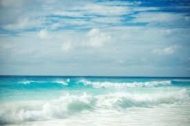 Ocean Breeze Fragrance Oil- AEFO0025