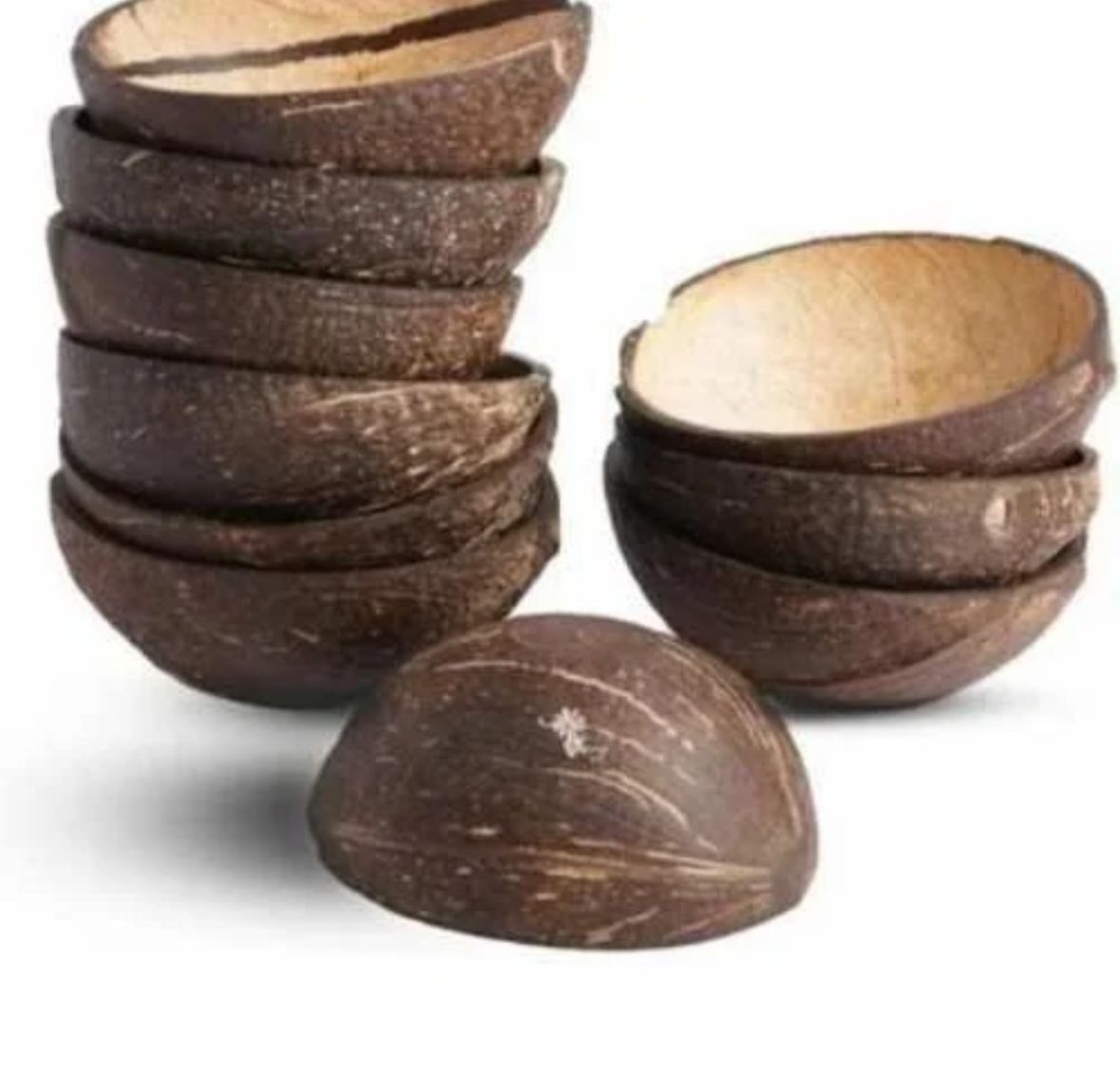 Coconut Shell (Polished- Pack of 10)- AECS0080