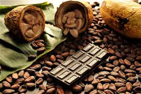 Cocoa Beans (Chocolate) Fragrance Oil - AEFO0022