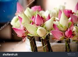 Lotus Bouquet Fragrance - AEFO0044