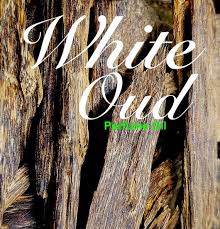 White Oudh Fragrance Oil- AEFO0027